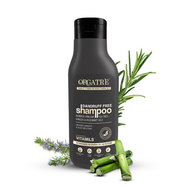 https://cdn.shopify.com/s/files/1/1857/6931/files/yTEtJauzNb.png?v=1722862466